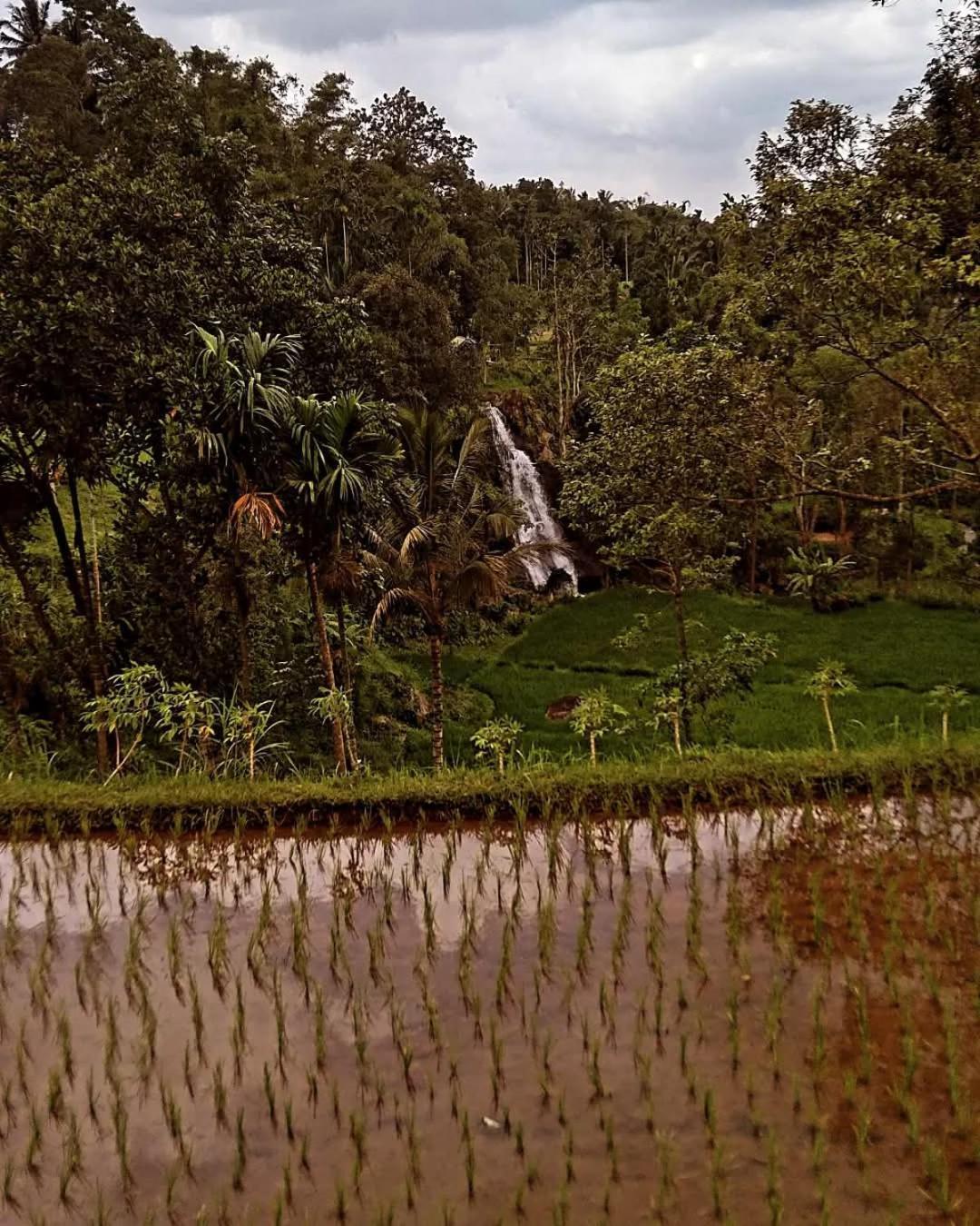 Satu Lingkung Hotel Tetebatu Exterior foto