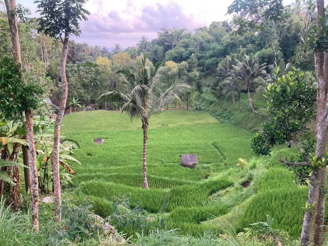 Satu Lingkung Hotel Tetebatu Exterior foto