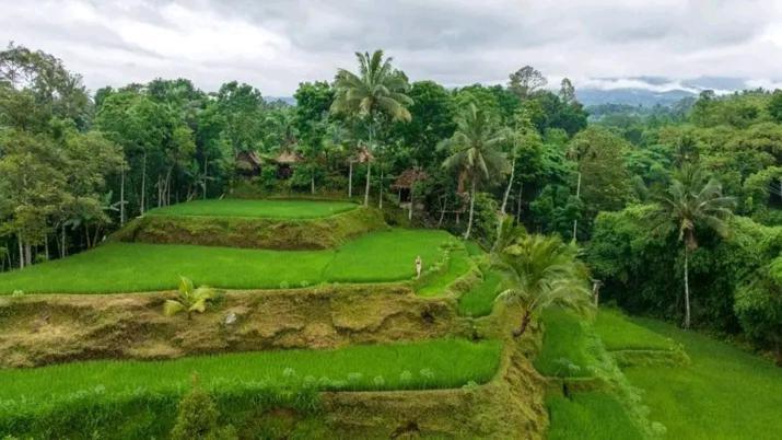 Satu Lingkung Hotel Tetebatu Exterior foto