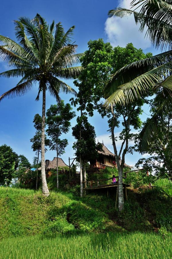 Satu Lingkung Hotel Tetebatu Exterior foto