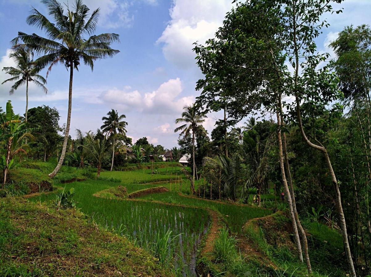 Satu Lingkung Hotel Tetebatu Exterior foto